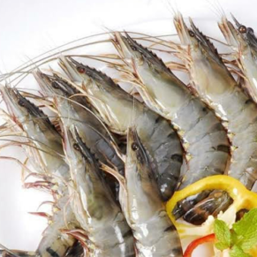 SS queen prawns