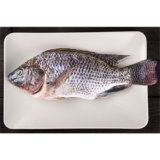 Whole Tilapia