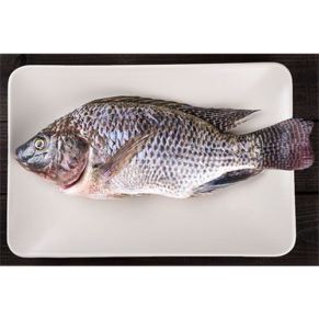Whole Tilapia