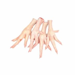 Fresh Chicken Feet