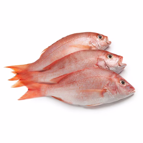 Whole Red Snapper